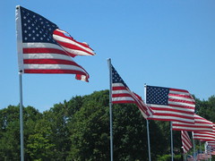 flags along Stacy Boulevard