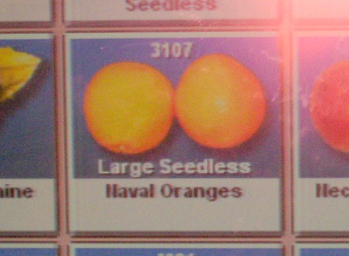 Oranges at Sea
