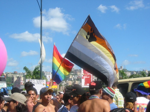 Orgullo Gay - Caracas 2005 (23)