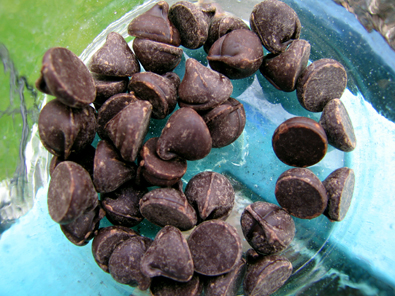 chocolate chips seafoam small